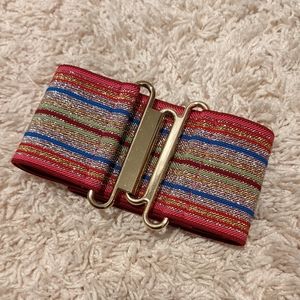 Express Metallic Mutli-color Stretchy Belt
